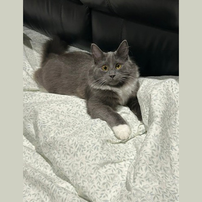 Photo of Leroy