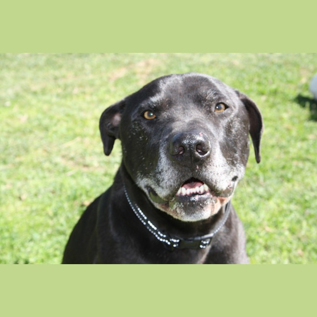 Photo of Ziggy And Zepha