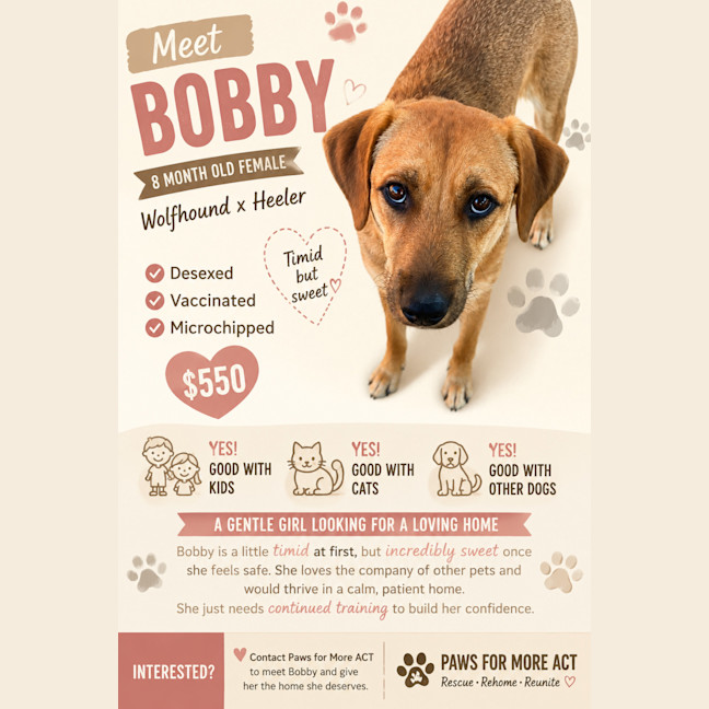 Photo of Bobby 