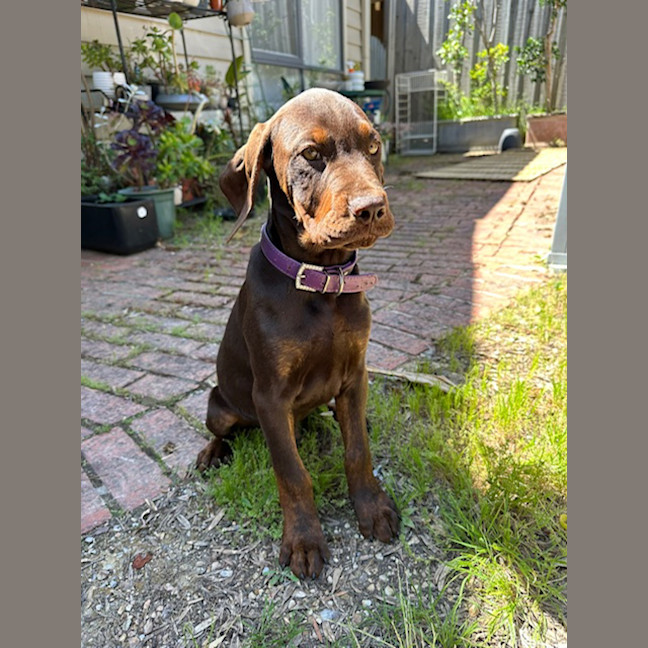 Photo of Tex (Was Maurice)