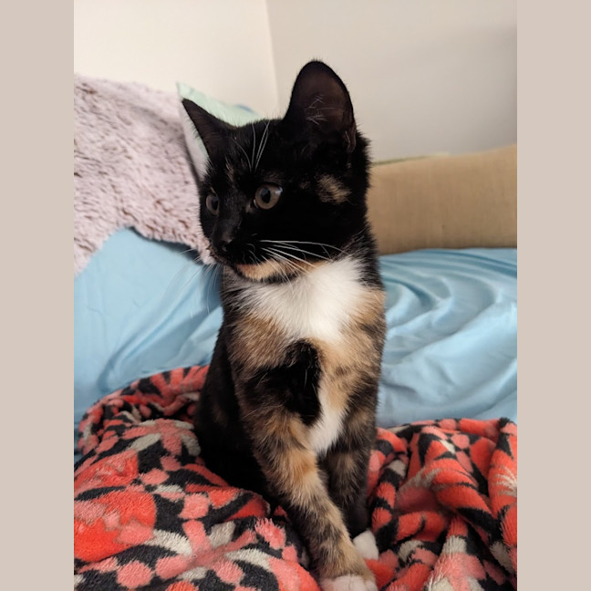 Photo of Miss Marple