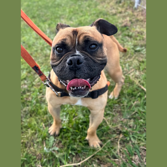 Photo of Leroy