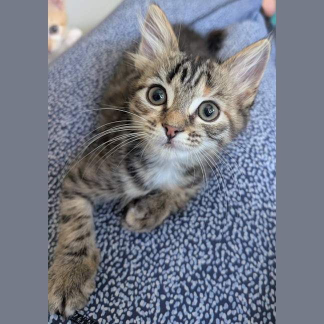 Photo of Moonbeam