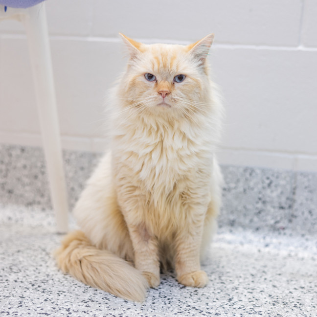 Photo of Olaf