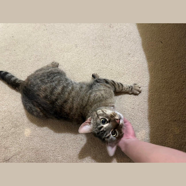 Photo of Aster Uffelman