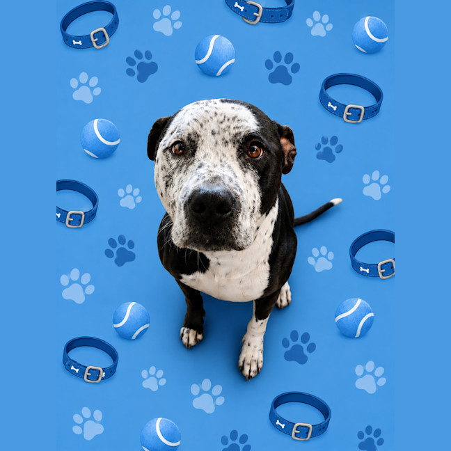 Photo of Zeus