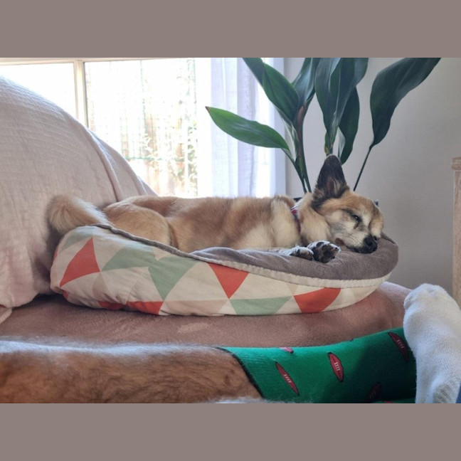 Photo of Leo O’cleary