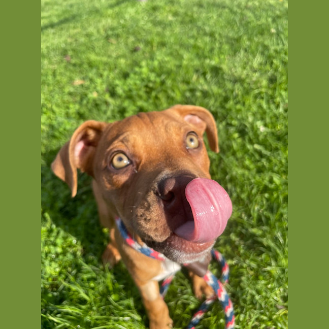 Photo of Spark