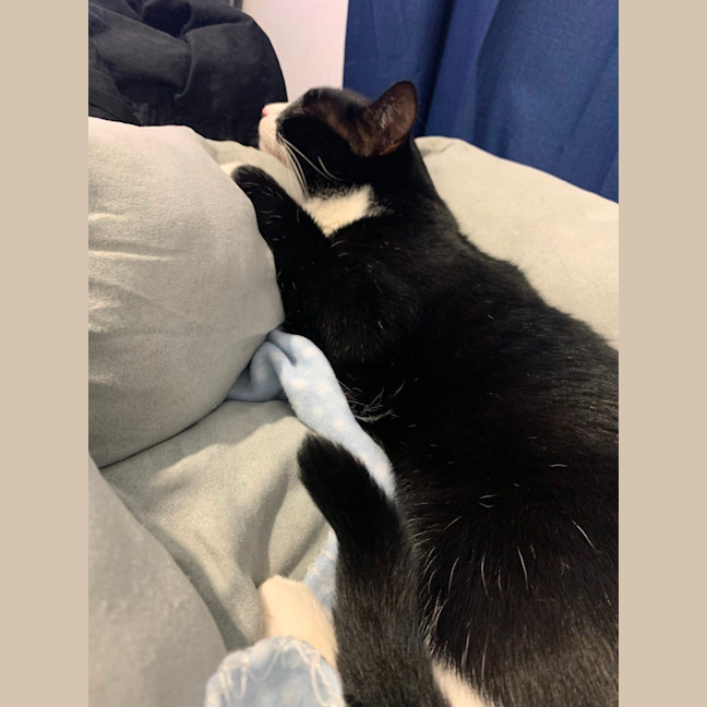 Photo of Mieka And Loki