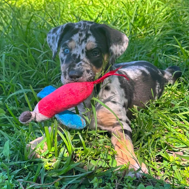 Photo of Kira