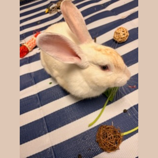 Photo of Victor