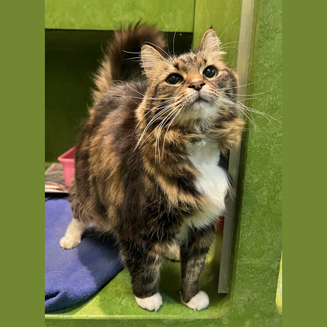 Photo of Mimi