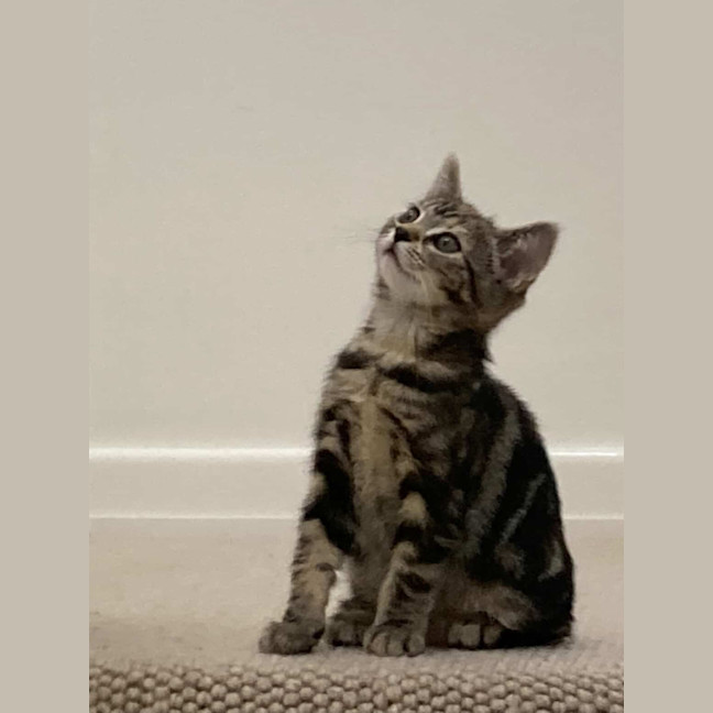 Photo of Freddie