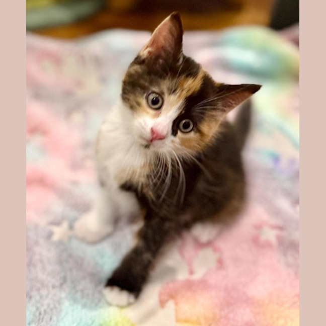 Photo of Sienna 🌷