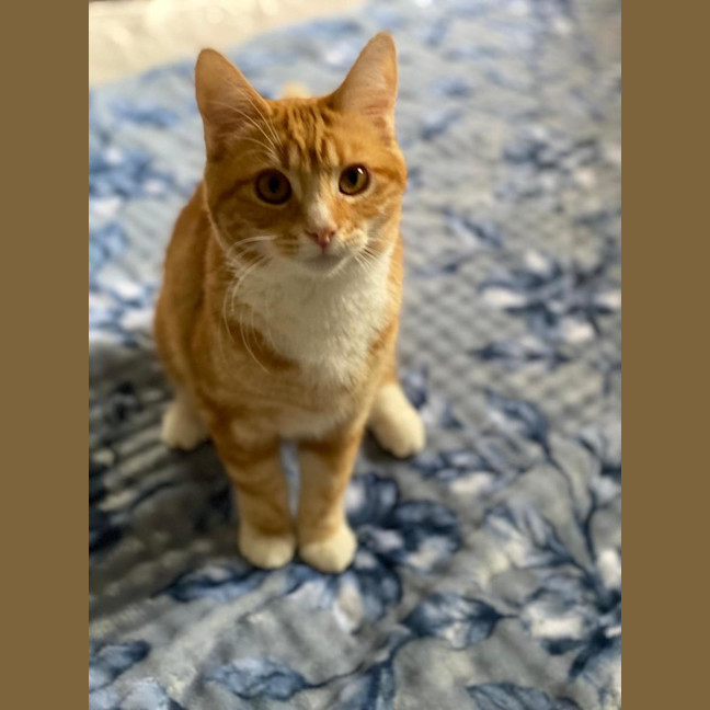 Photo of Rory
