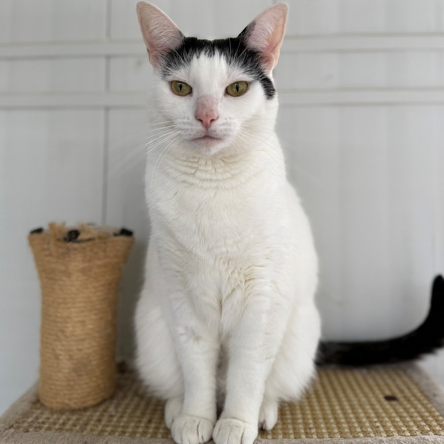 Photo of Molly And Mandy