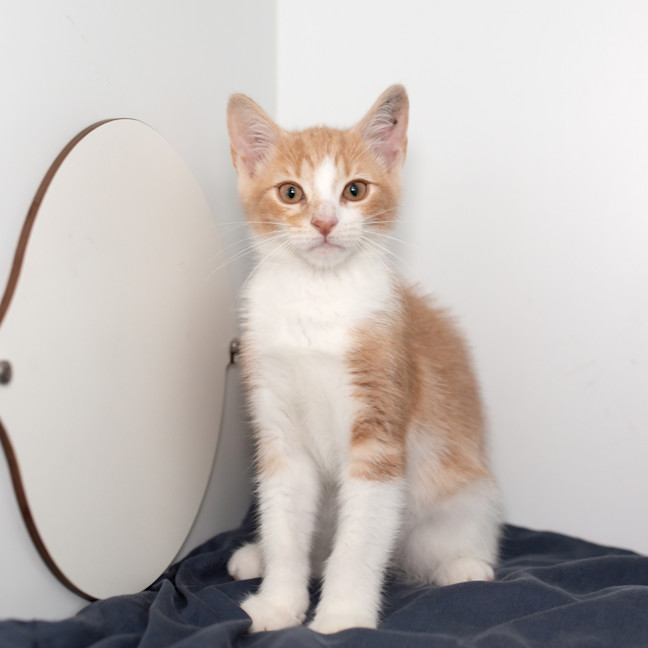 Photo of Louie