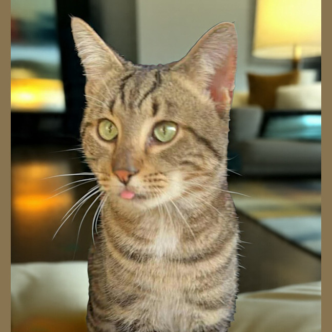 Photo of Huxley