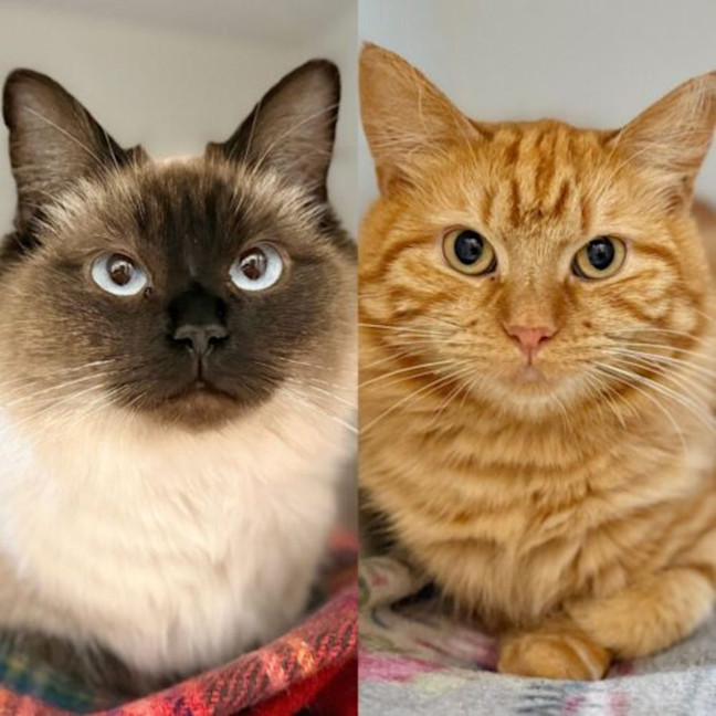 Photo of Jupiter & Atlas