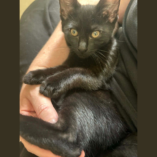 Photo of Zuzu
