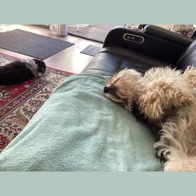 Photo of Libby & Jack