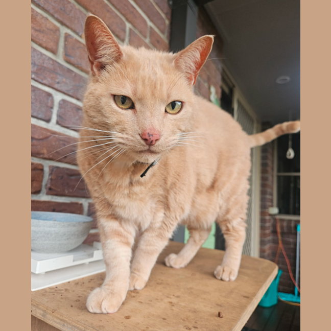 Photo of Hugo