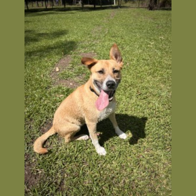 Photo of Hazel