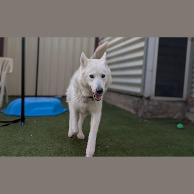 Photo of Storm