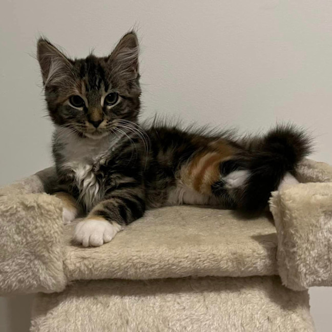 Photo of Buffy