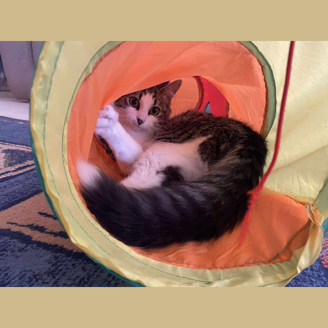 Photo of Mabel 