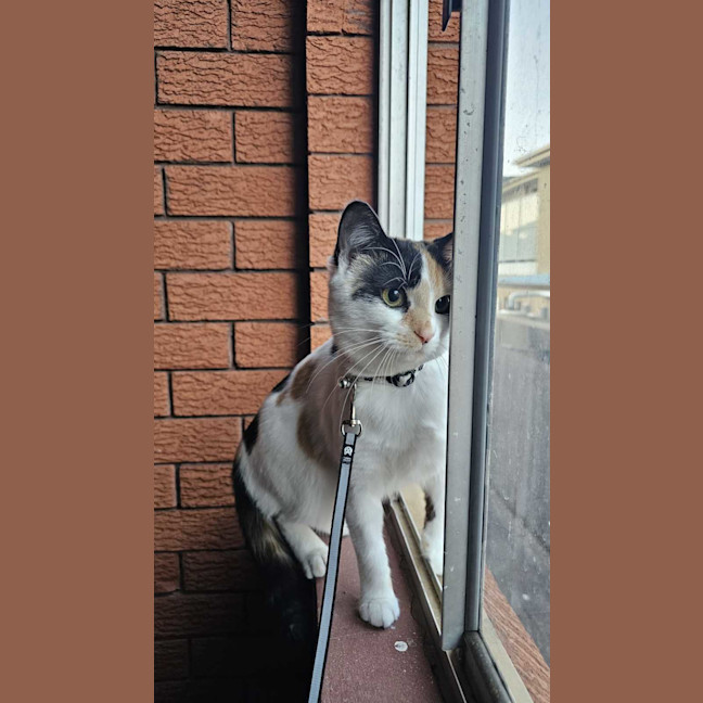 Photo of Mitzi