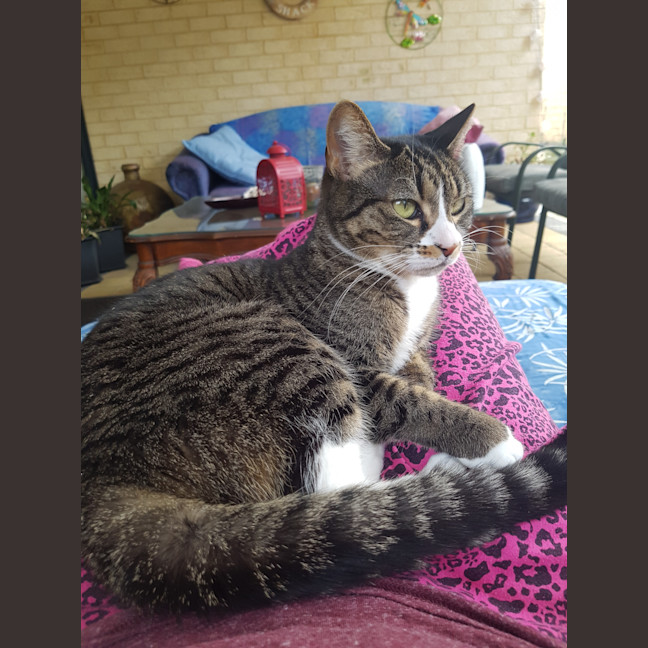 Photo of Jelly