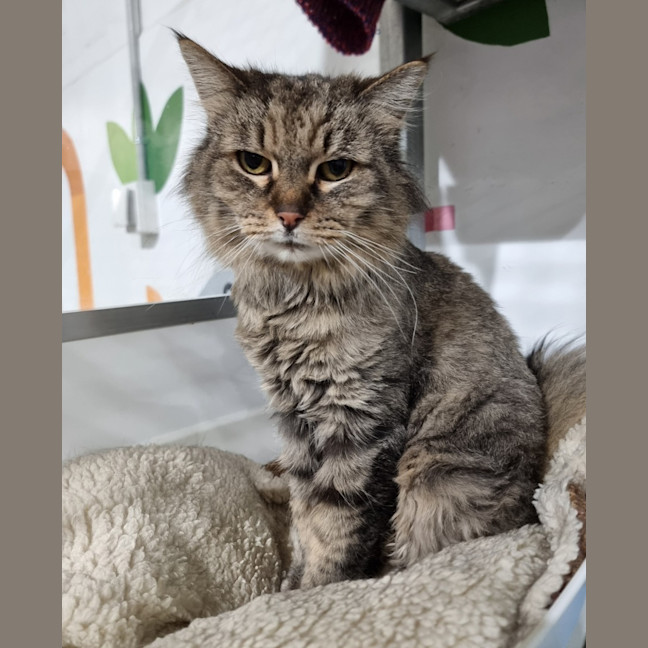 Photo of Kit