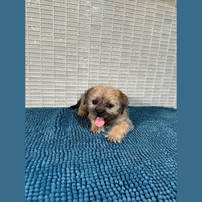 Photo of Olly