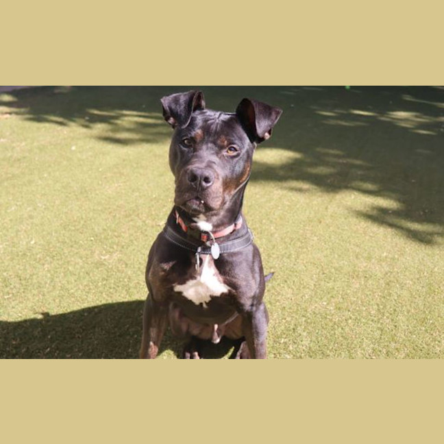 Photo of Murphy