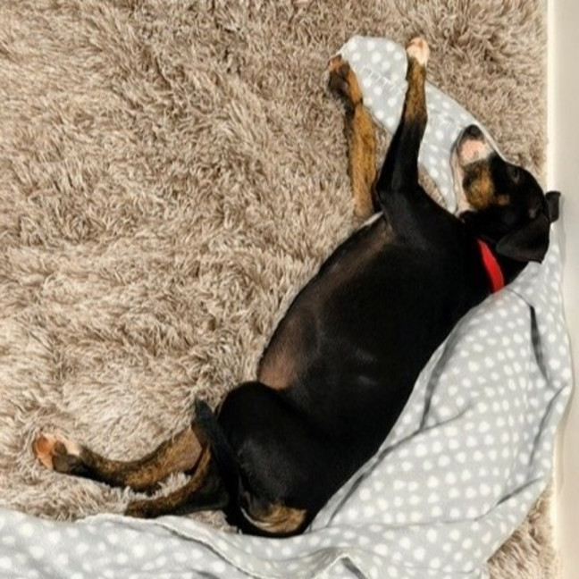 Photo of Nellie