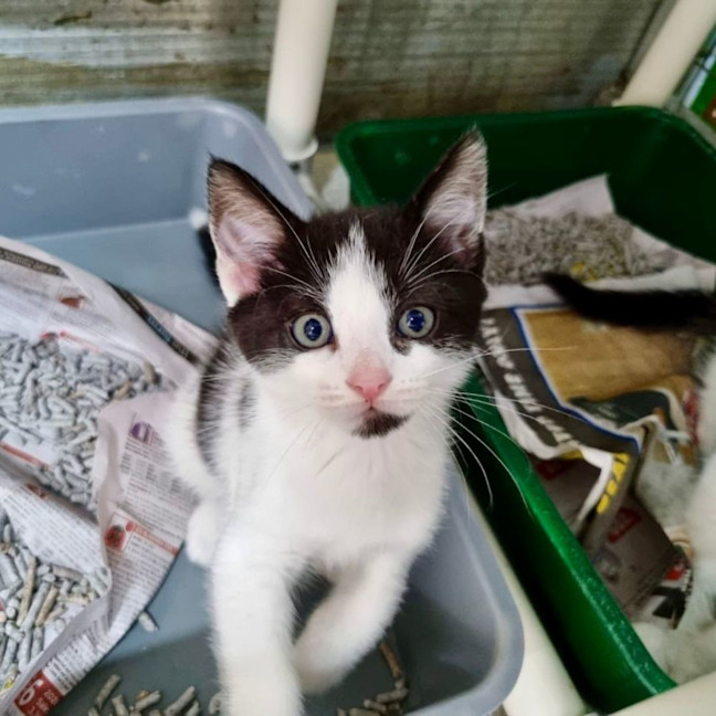 Photo of Jersey Girl