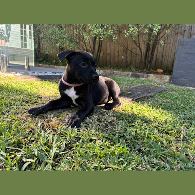 Photo of Mable