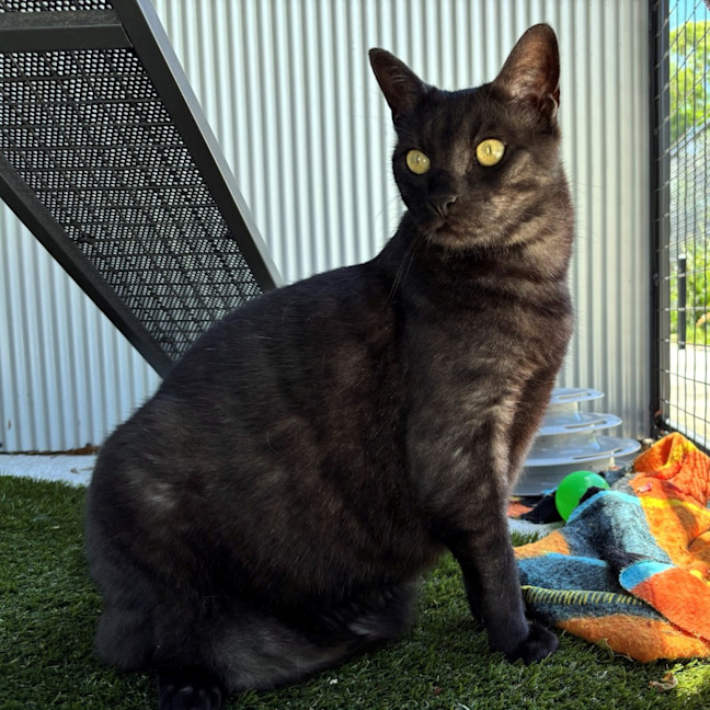 Photo of Dodge & Ada