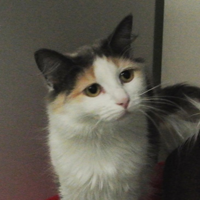 Photo of Leela