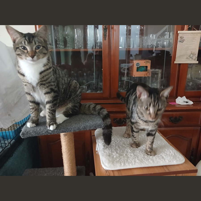 Photo of Arthur & Charles