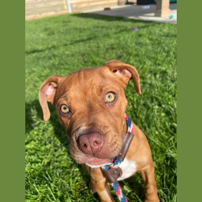 Photo of Spark