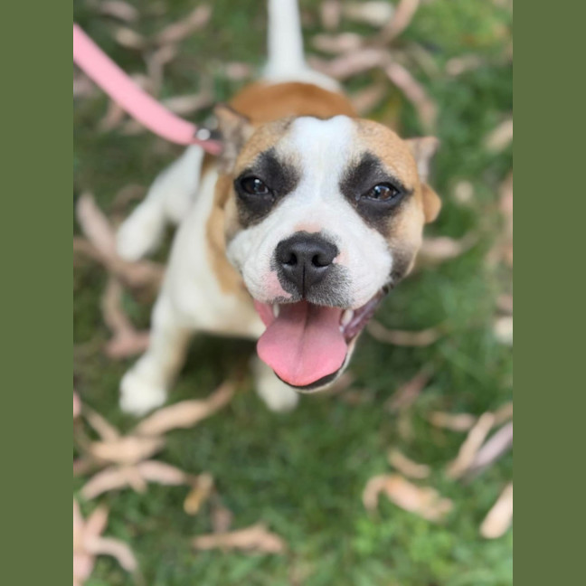 Photo of Sugar 
