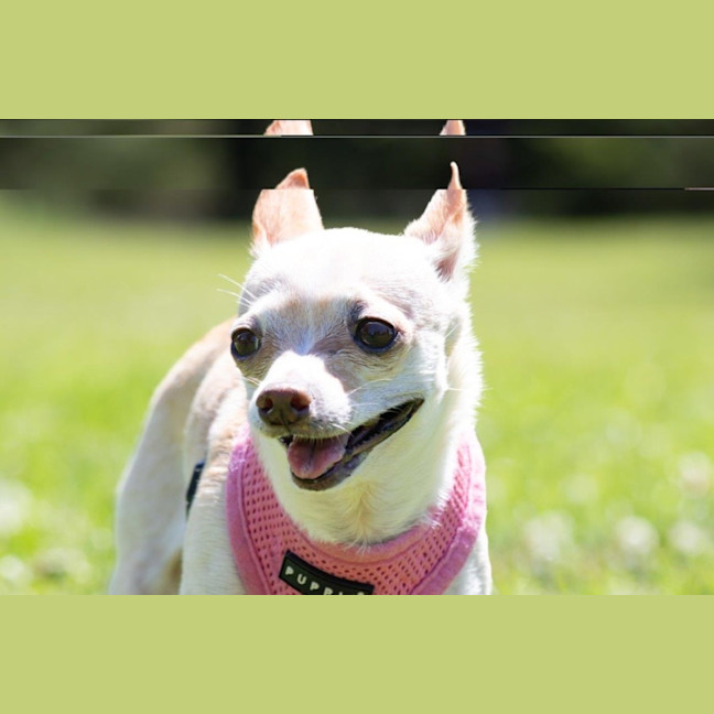 Photo of Holly Silvanus