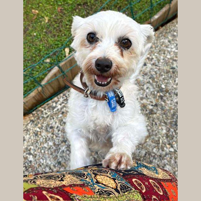 Photo of Sophie