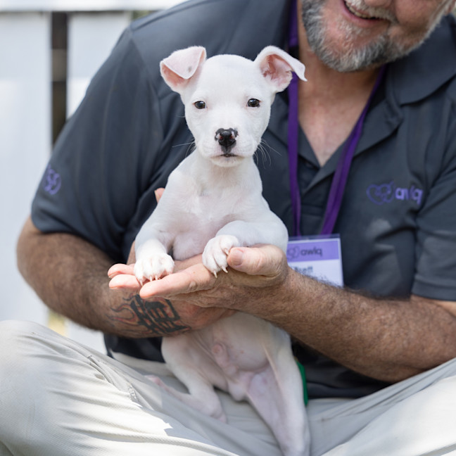 Photo of Casper