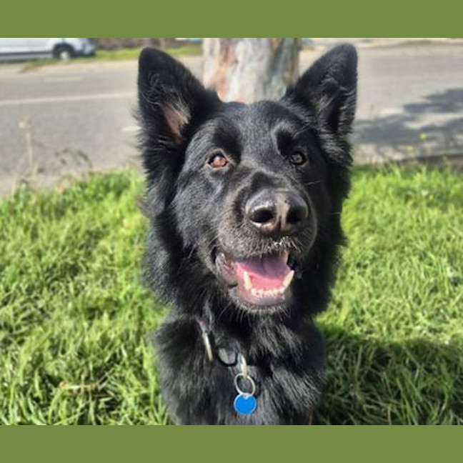 Photo of Murphy