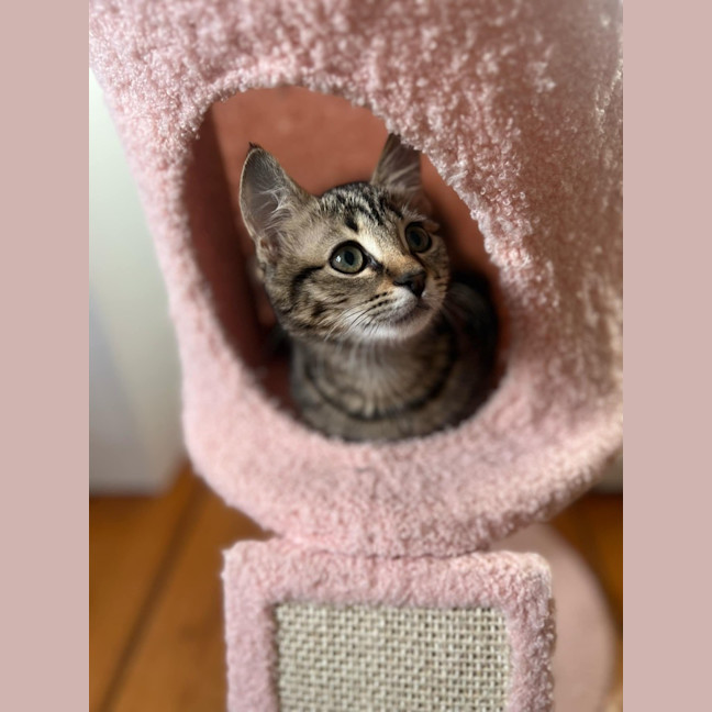 Photo of Winnie