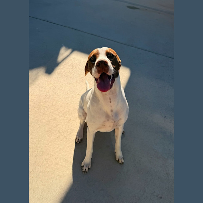 Photo of Bella