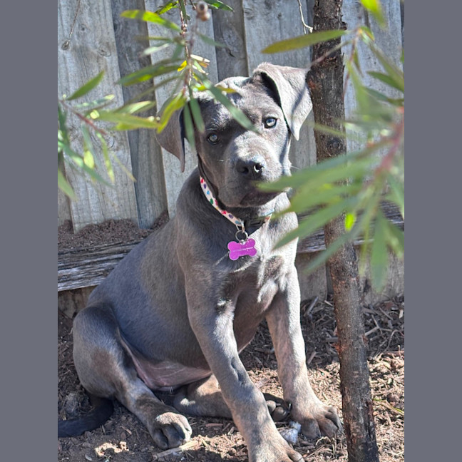 Photo of Enza
